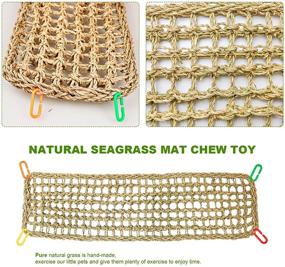 img 1 attached to 🐦 S-Mechanic Bird Seagrass Mat: A Natural Grass Woven Net Hammock for Parakeets, Cockatiels, and Conure - Perfect Cage Accessory with Beak Grinding Stones, Bells, and Chewing Toys - Dimensions: 27.56" x 7.87