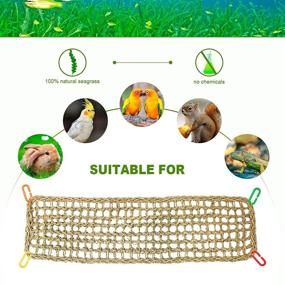 img 2 attached to 🐦 S-Mechanic Bird Seagrass Mat: A Natural Grass Woven Net Hammock for Parakeets, Cockatiels, and Conure - Perfect Cage Accessory with Beak Grinding Stones, Bells, and Chewing Toys - Dimensions: 27.56" x 7.87