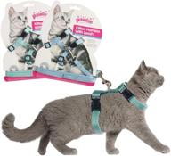 pawise harness adjustable kitten walking логотип