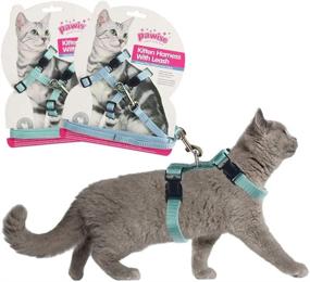 img 4 attached to PAWISE Harness Adjustable Kitten Walking