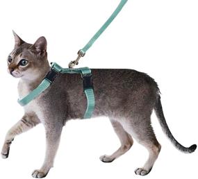 img 1 attached to PAWISE Harness Adjustable Kitten Walking