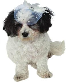 img 2 attached to 🎩 Fancy Hat Pet Accessory by Rubie's Costume Company: Add Style and Elegance to Your Pet's Look!