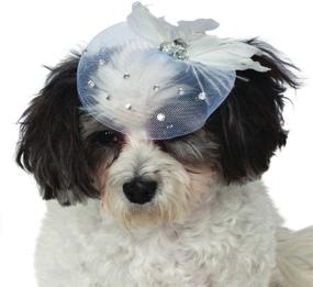 img 3 attached to 🎩 Fancy Hat Pet Accessory by Rubie's Costume Company: Add Style and Elegance to Your Pet's Look!