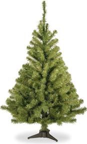 img 4 attached to 🎄 4-Foot Green Kincaid Spruce Artificial Mini Christmas Tree by National Tree Company - Includes Stand