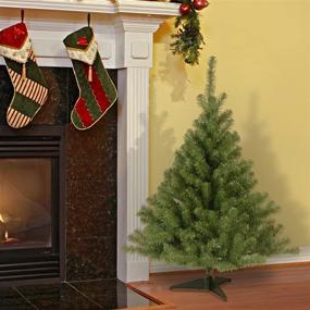 img 3 attached to 🎄 4-Foot Green Kincaid Spruce Artificial Mini Christmas Tree by National Tree Company - Includes Stand