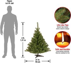 img 2 attached to 🎄 4-Foot Green Kincaid Spruce Artificial Mini Christmas Tree by National Tree Company - Includes Stand
