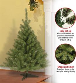 img 1 attached to 🎄 4-Foot Green Kincaid Spruce Artificial Mini Christmas Tree by National Tree Company - Includes Stand