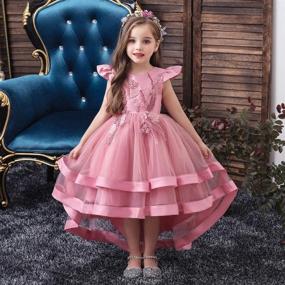 img 2 attached to 👗 FMYFWY Embroidery Dresses: The Perfect Princess Birthday Outfit for Girls' Clothing