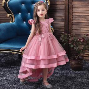 img 1 attached to 👗 FMYFWY Embroidery Dresses: The Perfect Princess Birthday Outfit for Girls' Clothing