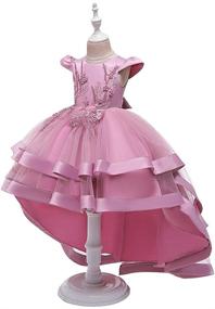 img 3 attached to 👗 FMYFWY Embroidery Dresses: The Perfect Princess Birthday Outfit for Girls' Clothing