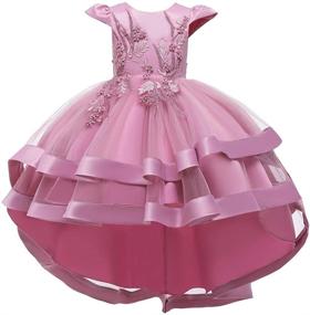 img 4 attached to 👗 FMYFWY Embroidery Dresses: The Perfect Princess Birthday Outfit for Girls' Clothing