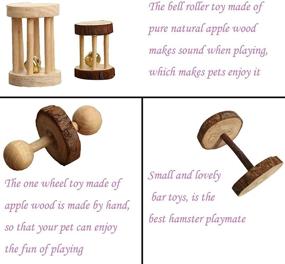 img 1 attached to 🦷 Teeth-Friendly Chew Toys for PD Hamsters: Natural Wood Dumbbells with Exercise Bell Roller - Molar Toys for Rabbits, Bunnies, Chinchillas, Guinea Pigs, Gerbils, Groundhogs, & Squirrels