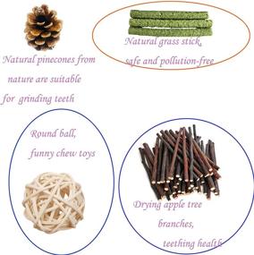 img 2 attached to 🦷 Teeth-Friendly Chew Toys for PD Hamsters: Natural Wood Dumbbells with Exercise Bell Roller - Molar Toys for Rabbits, Bunnies, Chinchillas, Guinea Pigs, Gerbils, Groundhogs, & Squirrels