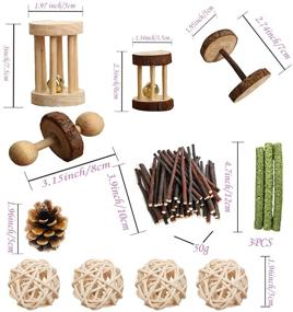 img 3 attached to 🦷 Teeth-Friendly Chew Toys for PD Hamsters: Natural Wood Dumbbells with Exercise Bell Roller - Molar Toys for Rabbits, Bunnies, Chinchillas, Guinea Pigs, Gerbils, Groundhogs, & Squirrels