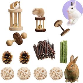 img 4 attached to 🦷 Teeth-Friendly Chew Toys for PD Hamsters: Natural Wood Dumbbells with Exercise Bell Roller - Molar Toys for Rabbits, Bunnies, Chinchillas, Guinea Pigs, Gerbils, Groundhogs, & Squirrels