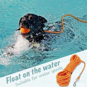 img 1 attached to Segzwlor Reflective Nylon Check Cord Leash - 30 FT / 50 FT Long Rope Lead for Small Medium Dogs, Cats - Ideal for Swimming, Walking, Camping, Yard Play - Outdoor Essential