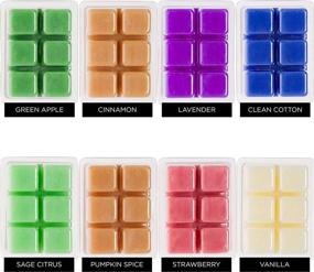 img 2 attached to 🕯️ Mindful Design 8 Pack Scented Wax Melts - Apple, Cinnamon, Clean Cotton, Lavender, Pumpkin Spice, Sage Citrus, Strawberry, & Vanilla: Experience Aromatic Bliss at Home