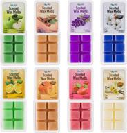 🕯️ mindful design 8 pack scented wax melts - apple, cinnamon, clean cotton, lavender, pumpkin spice, sage citrus, strawberry, & vanilla: experience aromatic bliss at home logo