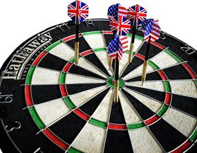 img 1 attached to Hathaway Winners Choice Bristle Dartboard