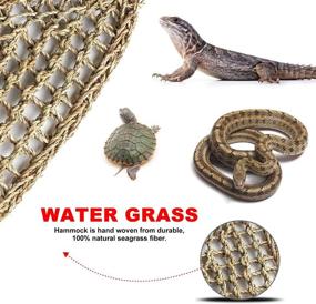 img 2 attached to 🦎 Luxurious Reptile Hammock: All-Natural Seagrass Lounger for Anoles, Bearded Dragons, Geckos, Iguanas, and Hermit Crabs with 6 Hooks & 4 Suction Cups