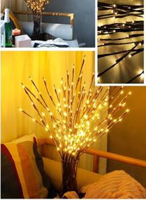 img 4 attached to 🌿 Enhance Your Décor with Zeerkeer Led Branch Lights - Set of 2, 30 Inch, Battery Powered Decorative Willow Twig Lights with 40 LEDs for Home Decoration (Warm White)