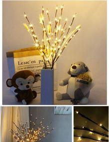 img 3 attached to 🌿 Enhance Your Décor with Zeerkeer Led Branch Lights - Set of 2, 30 Inch, Battery Powered Decorative Willow Twig Lights with 40 LEDs for Home Decoration (Warm White)