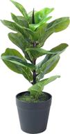 enhance indoor decor with a 15 inch 🌿 fiddle leaf artificial tree bonsai - perfect for home décor логотип