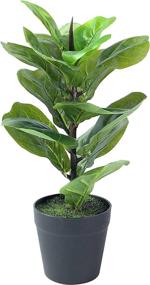 img 4 attached to Enhance Indoor Decor with a 15 Inch 🌿 Fiddle Leaf Artificial Tree Bonsai - Perfect for Home Décor