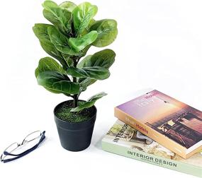 img 1 attached to Enhance Indoor Decor with a 15 Inch 🌿 Fiddle Leaf Artificial Tree Bonsai - Perfect for Home Décor