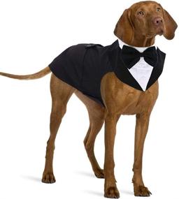 img 4 attached to 🐶 IDOMIK Dog Tuxedo Suit: Formal Vest Set with Detachable Bow Ties, Collar & Bandana Scarf for Wedding & Birthday Parties