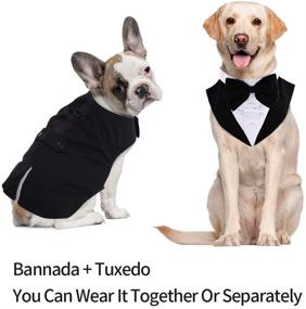 img 2 attached to 🐶 IDOMIK Dog Tuxedo Suit: Formal Vest Set with Detachable Bow Ties, Collar & Bandana Scarf for Wedding & Birthday Parties