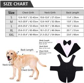 img 3 attached to 🐶 IDOMIK Dog Tuxedo Suit: Formal Vest Set with Detachable Bow Ties, Collar & Bandana Scarf for Wedding & Birthday Parties