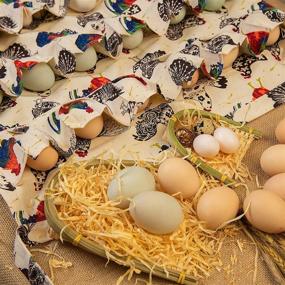img 3 attached to 🥚 Прочный фартук для сбора яиц ETIUC: 18 глубоких карманов, канвас для удерживания яиц утки, гуся, перепела и голубя - фартук для сбора пасхальных яиц с инструментом для курятников, печатью курицы и петуха.