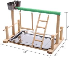 img 1 attached to 🦜 SAWMONG Parrot Playstand: Premium Wood Perch with Toys and Feeder Cups for Cockatiels - Fun Exercise Playground with Tray (Random Color)