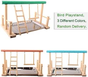 img 3 attached to 🦜 SAWMONG Parrot Playstand: Premium Wood Perch with Toys and Feeder Cups for Cockatiels - Fun Exercise Playground with Tray (Random Color)