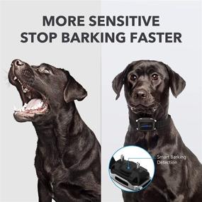 img 3 attached to Advanced DOG CARE Rechargeable Bark Collar with Beep Vibration, 7 Shock Modes - Safe and Humane No Bark Collar for Dogs - LED Indicator, Suitable for Small, Medium & Large Breeds