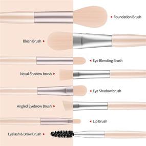 img 1 attached to 🍑 Apricot Makeup Brush Set - 8PCs Premium Synthetic Brushes for Foundation, Powder, Concealers, Eyeshadows, and Blush - Cosmetic Make Up Brushes Kit