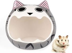 img 4 attached to 🐾 Cute and Cool: Cutefiy Small Animal Pet House, Ceramic Hideout Hut Cave for Hamster, Chinchillas, Gerbils, Hedgehog - Perfect Summer Nesting Habitat Cage