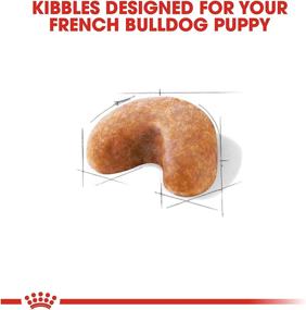 img 3 attached to 🐶 Optimal Nutrition for Your French Bulldog Puppy: Royal Canin Breed Health Nutrition Dry Food