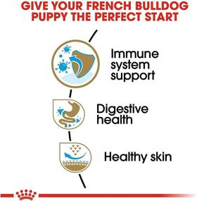 img 2 attached to 🐶 Optimal Nutrition for Your French Bulldog Puppy: Royal Canin Breed Health Nutrition Dry Food