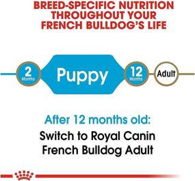 img 1 attached to 🐶 Optimal Nutrition for Your French Bulldog Puppy: Royal Canin Breed Health Nutrition Dry Food