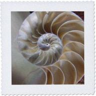 3drose qs_7487_8 nautilus shell quilt 20 inch logo