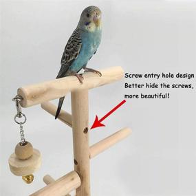 img 2 attached to 🦜 WYunPets Parrots Playstand Bird Playground Wood Perch Gym Stand Playpen with Ladder, Feeder Cups, and Exercise Toys