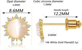 img 3 attached to Hamibus Earrings，14K Sterling Earrings Sunshine