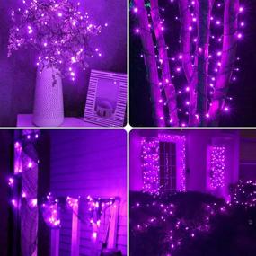 img 2 attached to 🎃 Super Bright Purple 2-Pack 66FT 200 LED Extendable Halloween Lights - Indoor/Outdoor Plug in String Lights for Halloween Decorations - Ideal for Bedroom, Party, Decor Room, Garden, Patio, Tree