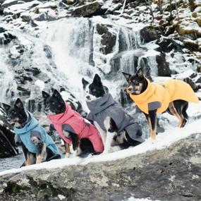 img 1 attached to 🐾 Hurtta Expedition Parka: Ultimate Winter Dog Coat for Maximum Protection