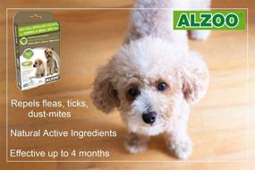 img 3 attached to 🐶 ALZOO Природная отпугивающая ошейник для маленьких собак - отпугивает блох, клещей и кожных клещей с помощью натуральных активных ингредиентов