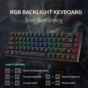 img 3 attached to 🔑 RK ROYAL KLUDGE RK68 (RK855) Wired 65% Mechanical Keyboard, RGB Backlit Ultra-Compact 60% Layout 68 Keys Gaming Keyboard, Hot Swappable Keyboard with Stand-Alone Arrow/Control Keys, Blue Switch, Black - Enhanced SEO-friendly Product Name