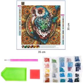 img 3 attached to 🦉 Mandala Owl Full Drill Diamond Painting Kit, Colorful Animal DIY Paint with Diamonds, Rhinestone Embroidery Craft for Home Room Decoration, 12x12 inch