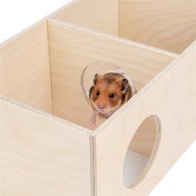 img 1 attached to 🏠 Niteangel Birch Chamber-Maze Hamster Hideout: Woodland House Decor for Small Pets – Ideal Habitats for Hamsters, Mice, Gerbils, and More